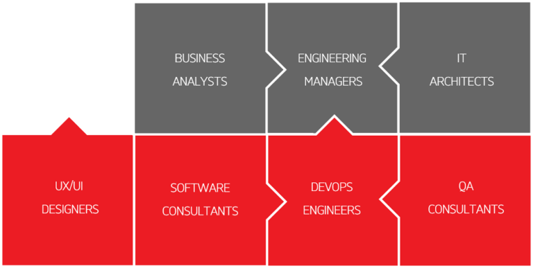 Dedicated-development-teams-Accedia