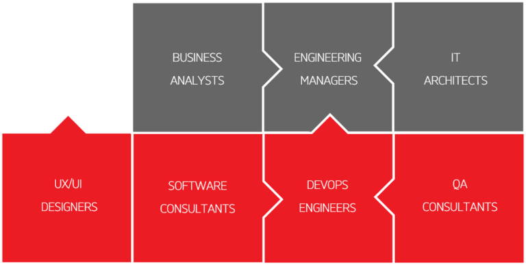 roles of Dedicated-development-teams-Accedia